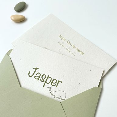 Jasper 20220606-12w