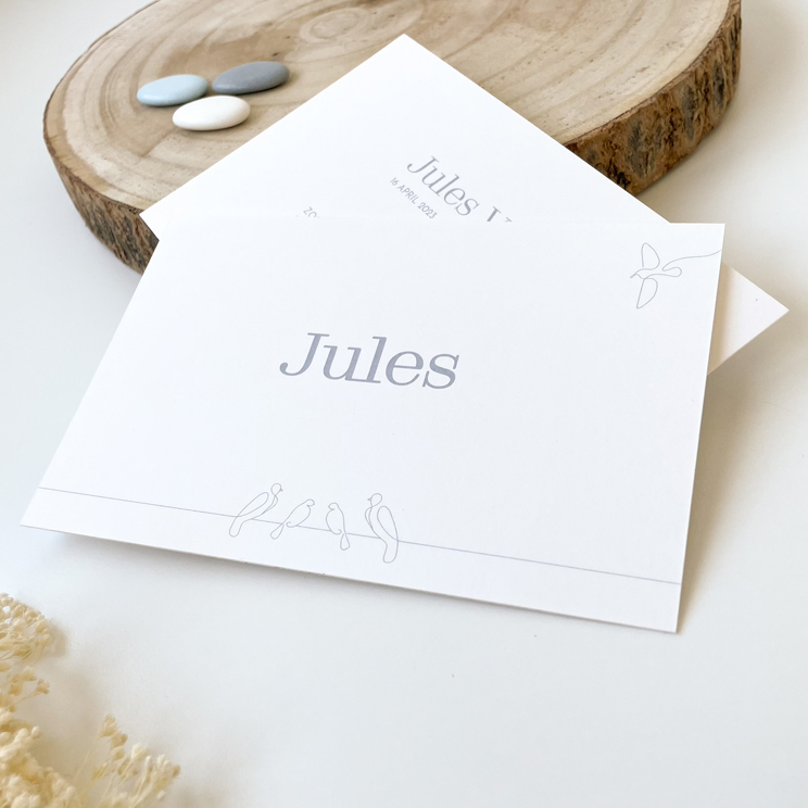 Jules 20230420-17w