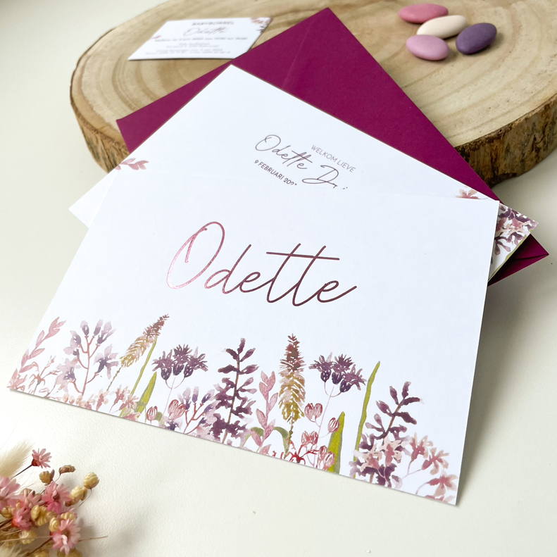 Odette 20230313-1w